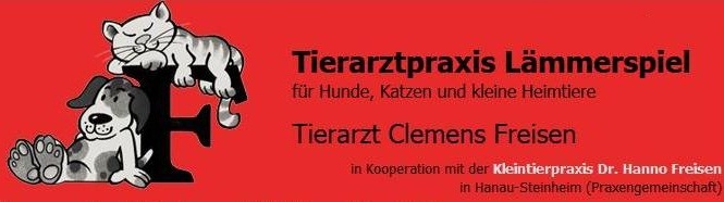 Tierarztpraxis Lmmerspiel